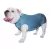 Roupa de Castração Fit para Buldogue Inglês Macho - Azul P