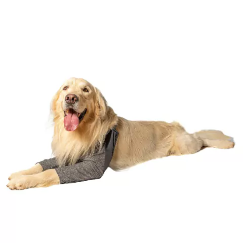 Protetor de Higroma para Cães Pet Designer Tamanho 8