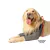 Protetor de Higroma para Cães Pet Designer Tamanho 8 - comprar online