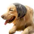 Protetor Auricular Pós-cirúrgico p/ Cães Pet Designer Tam 4 - O Cãoselheiro
