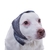 Protetor Ouvido para cães com Medo de Fogos ou Barulhos Oto Calm Pet Med Tam 3 - comprar online