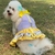 Vestido com Coleira para Cães - Dress4Pet - Floral - Tamanho M