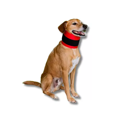 Colar Cervical Confortável para Cães Pet Designer Tamanho 7