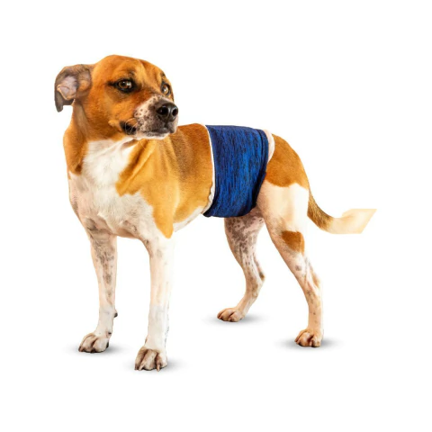 Protetor de Fralda para Cão Macho Pet Designer Azul Tam 5