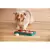 Brinquedo Interativo p/ Cães Puzzle Nina Ottosson Dog Brick - comprar online