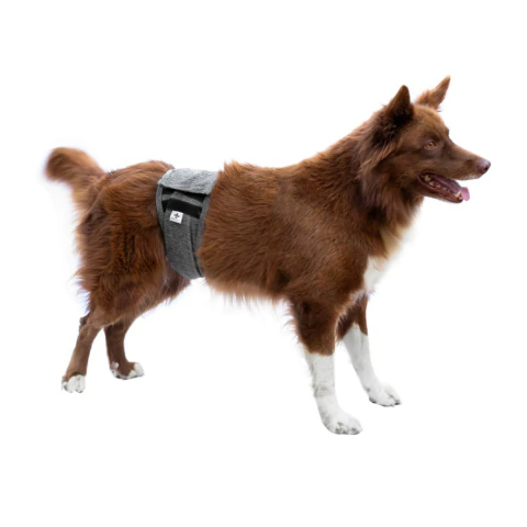 Protetor de Fralda para Cão Macho Pet Designer Cinza Tam 5