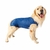 Roupa Pós-cirúrgica - Machos Castração Pet Designer Azul- 6 - comprar online