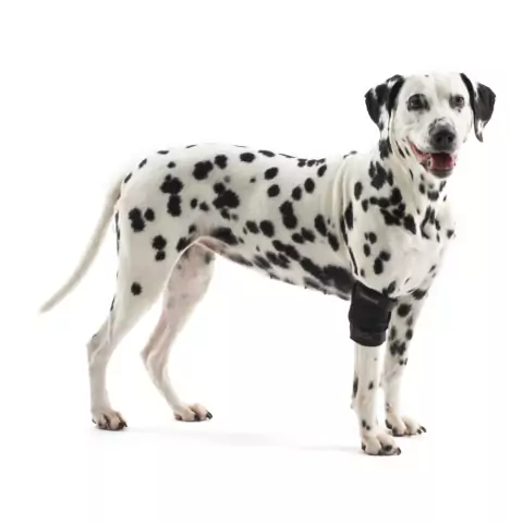 Protetor de Cotovelo Pet p/ Cachorro Kruuse Rehab Tam P