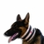 Colar Protetor Cervical p/ Cachorro de Tecido Nina Pet Tam 0