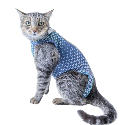 Roupa Protetora Regular Gatos Pet Med Verde e Azul Tam mini