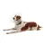 Colar Elizabetano Pet p/ Cachorro Kruuse Buster Clic 25cm - comprar online