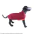 Roupinha Soft para Cães Lavipet - Verde - Tamanho 2 (21cm) na internet