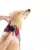 Imagem do Roupa Protetora de Pescoço p/ Cachorro Pet Med Duo Dry N3