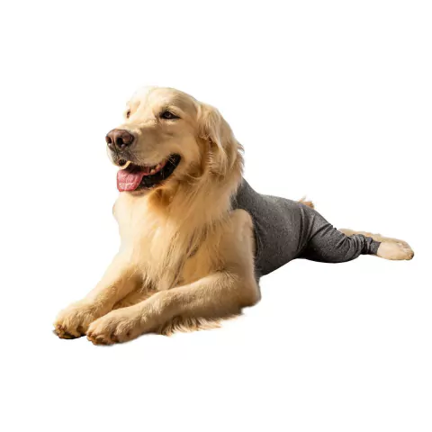 Protetor Membros Posteriores para Cães Pet Designer Tam 15 - comprar online