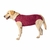 Roupa Pós-cirúrgica Pet Designer Cinza Tamanho 2 na internet