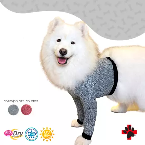 Protetor de Membros Anteriores e Peito para Cães Pet Med - Duo Dry - Cinza - Tamanho 12