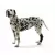Protetor de Jarrete Pet p/ Cachorro Pet Kruuse Rehab Tam GG - O Cãoselheiro