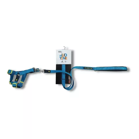 Kit com Peitoral e Guia para Cães Duotone Turquesa - Tam M