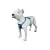 Peitoral com Regulagem K-9 Spirit Luxo Boreal M - comprar online