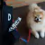 Porta Rolinhos Cata Caca para Cães - Neoprene - Dogs Care - comprar online
