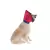Colar Elizabetano p/ Cachorro e Gato Pet Med Conforto Tam 1 na internet