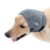 Protetor de Orelha p/ Cachorro Pet Med Oto Protector Plus N1 - comprar online