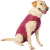 Roupa Pós-cirúrgica Pet Designer Cinza Tamanho 5 - O Cãoselheiro