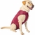 Roupa Pós-cirúrgica Pet Designer Cinza Tamanho 7 na internet