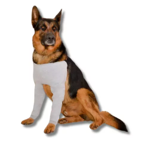 Roupa Protetora Nina Pet para Proteção de Higroma Tamanho 3