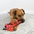Brinquedo de Pelúcia para Cães Kong Ballistic Giraffe M/G na internet