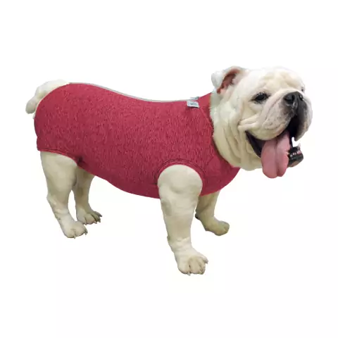 Roupa Pós Cirúrgica Fit para Cães - Buldogue Inglês - Rosa G