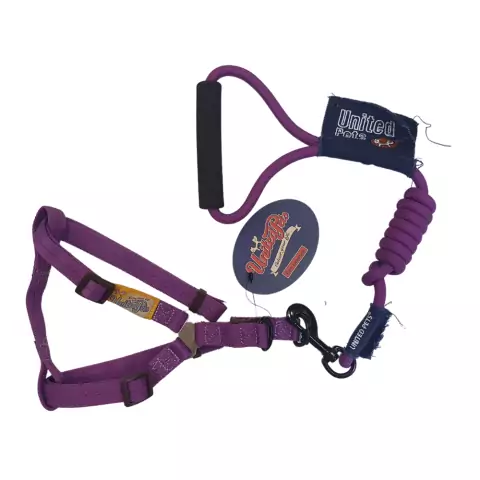Kit Peitoral e Guia para Cães United Pets Violeta Tam M