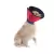 Colar Elizabetano p/ Cachorro Pet Med Conforto Tam 5 - O Cãoselheiro
