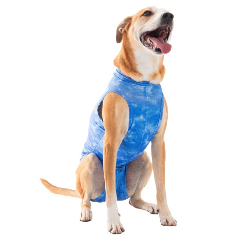 Roupa Protetora Pós Castração Cão Macho - Pet Med - Tam 1