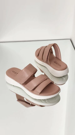 Zueco Evadne en internet