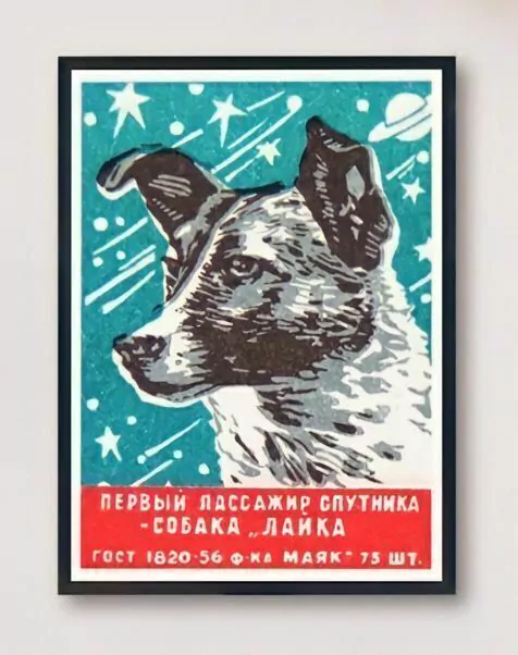 Pôster da cadela Laika.