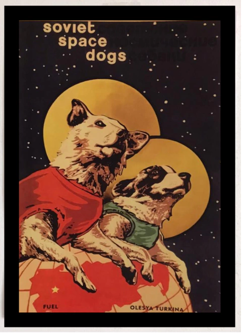 Pôster Cadelas Espaciais