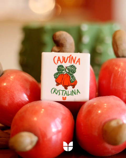 Imã de Geladeira - Cajuína Cristalina - comprar online