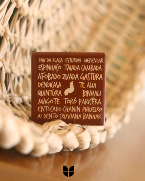 Imã de Geladeira - Piauiês - comprar online