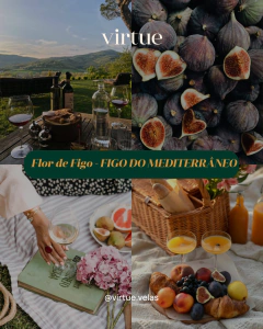 FIGO DO MEDITERRÂNEO (Flor de Figo) | VELA AROMÁTICA - 180g - comprar online