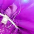 Saia de estrela de tule brilhante LED para mulheres, tutu curto, mini saia extra na internet