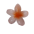 Rosa para cabelo 09.0010 na internet