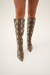 BOTA CRAZY - comprar online