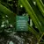 Sabonete em Barra Vegetal Hidratante Biosex - 90 g - comprar online