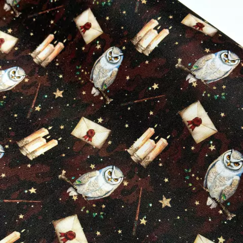 Cordura estampada HARRY POTTER