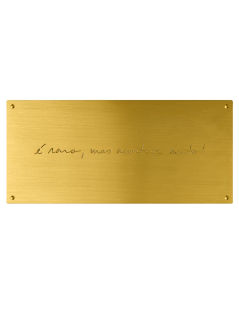 Placa Raro - comprar online