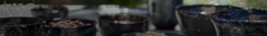Banner da categoria Coleções