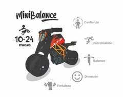 NUEVA!!! MiniBalance Duke en internet