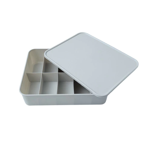 Caja Organizadora Con Tapa Plástica y 10 Divisiones 31X24X8 cm - comprar online