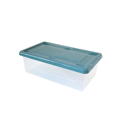 Imagen de Caja Organizadora Multiuso Apilable con Tapa 38*22*12 CM